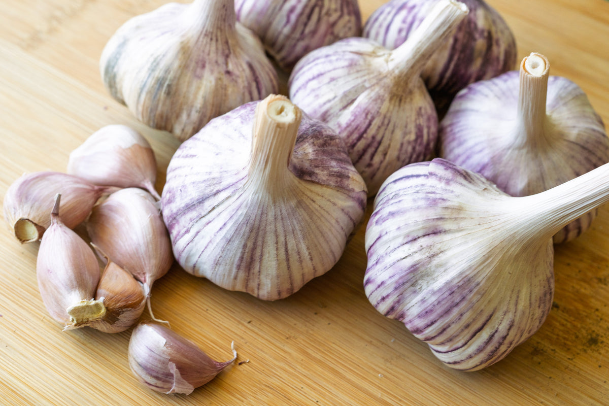 Basque Hardneck Garlic