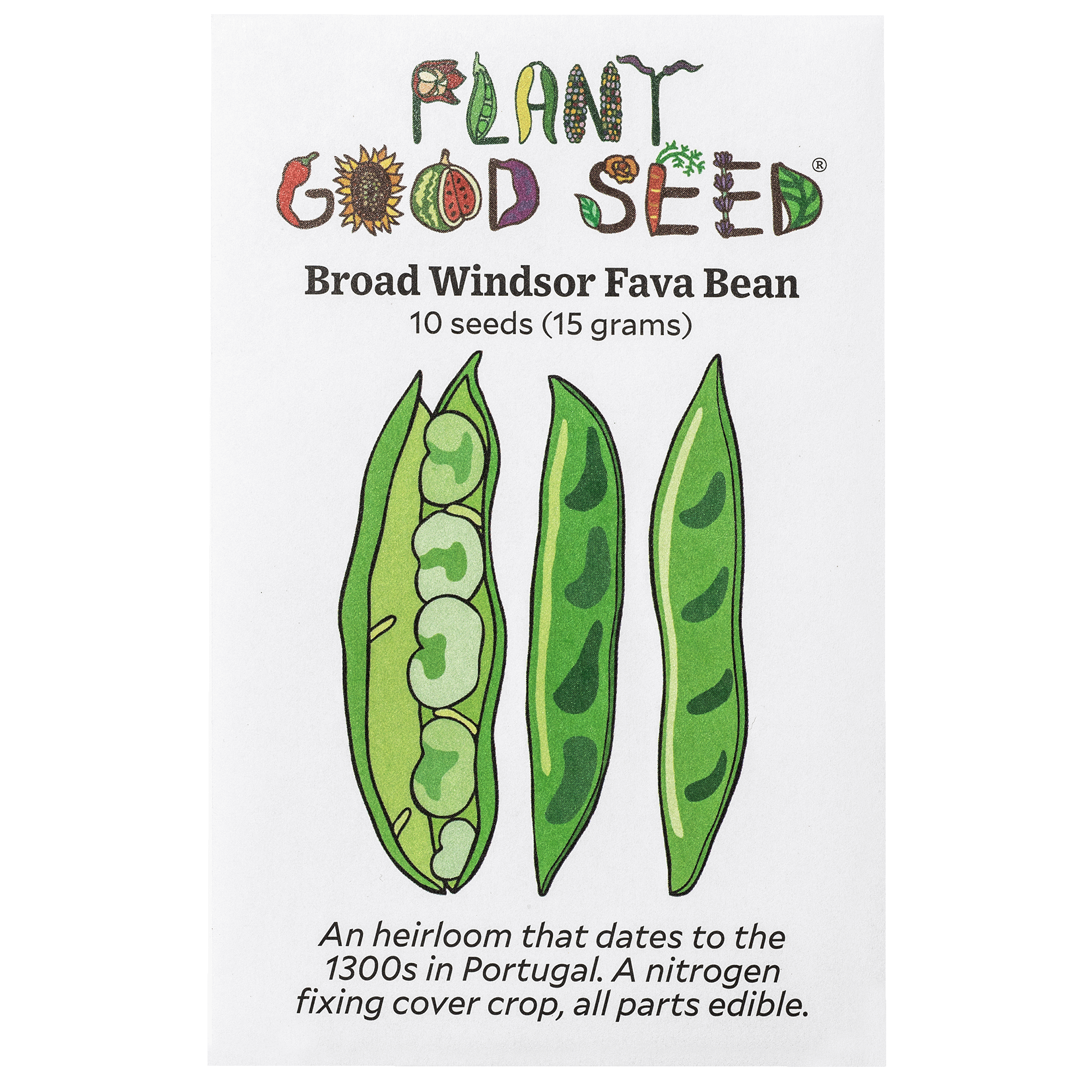 Broad Windsor Fava Bean