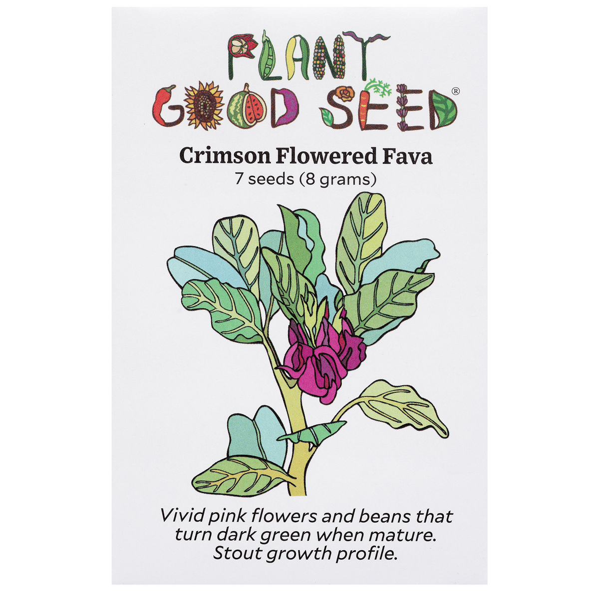 Crimson Flowered Fava