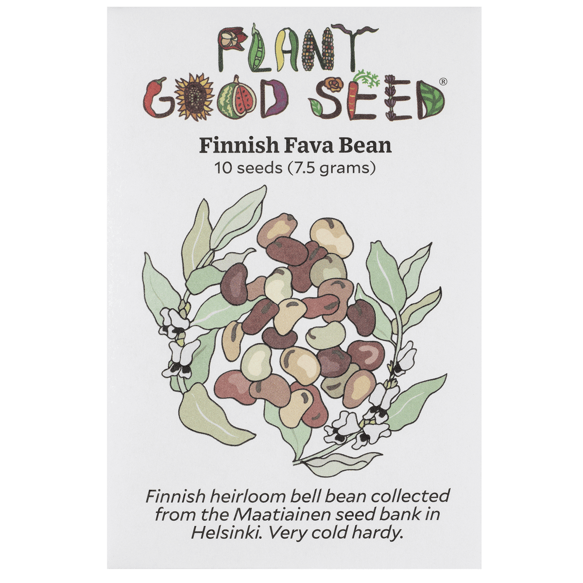 Finnish Fava Bean