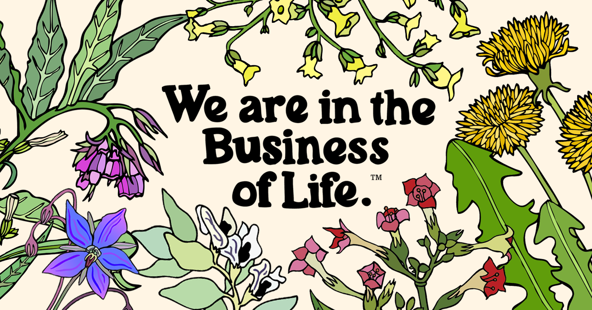 The Plant Good Seed Company