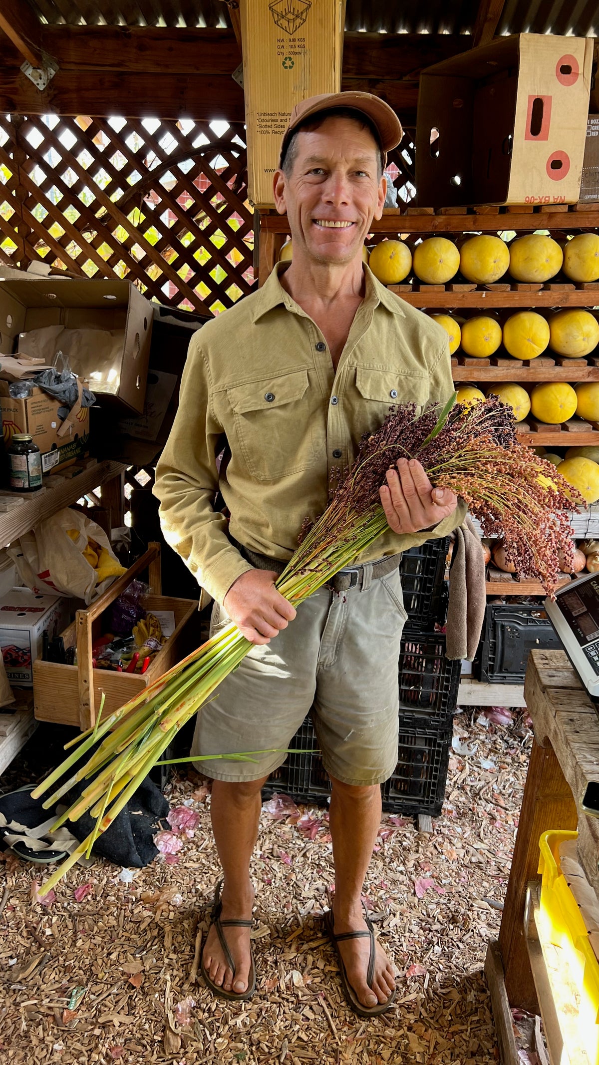 Richard Gambino Broom Corn Ojai California