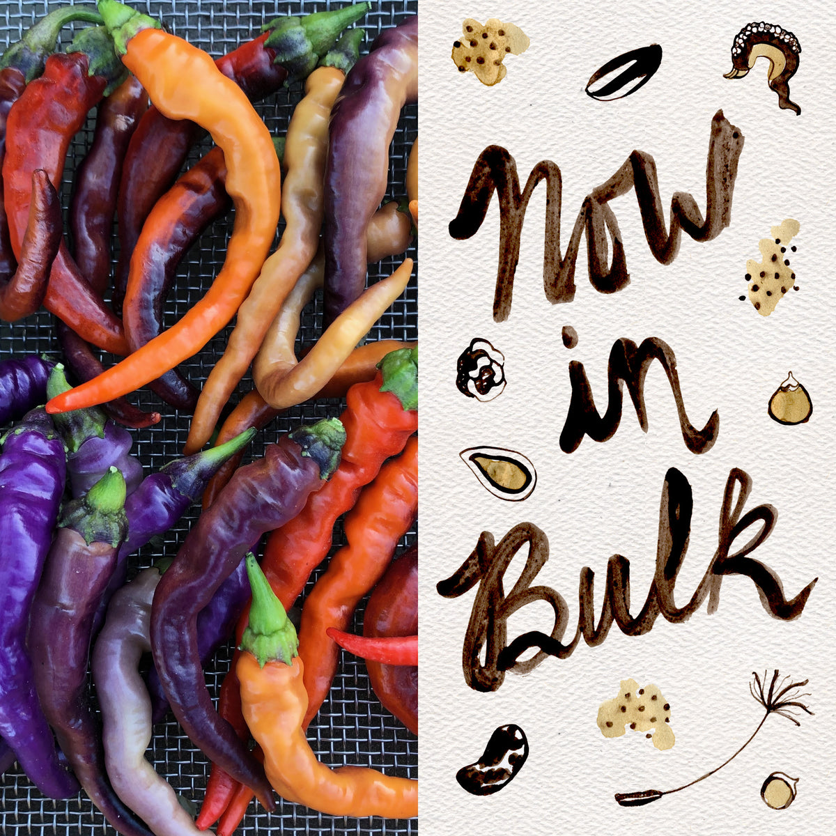 Buena Mulata Pepper