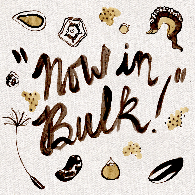 Gaillardia Flower The Plant Good Seed Company