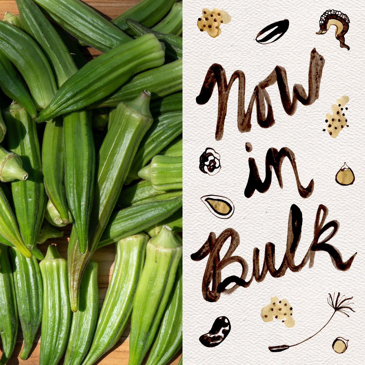 Cajun Jewel Okra