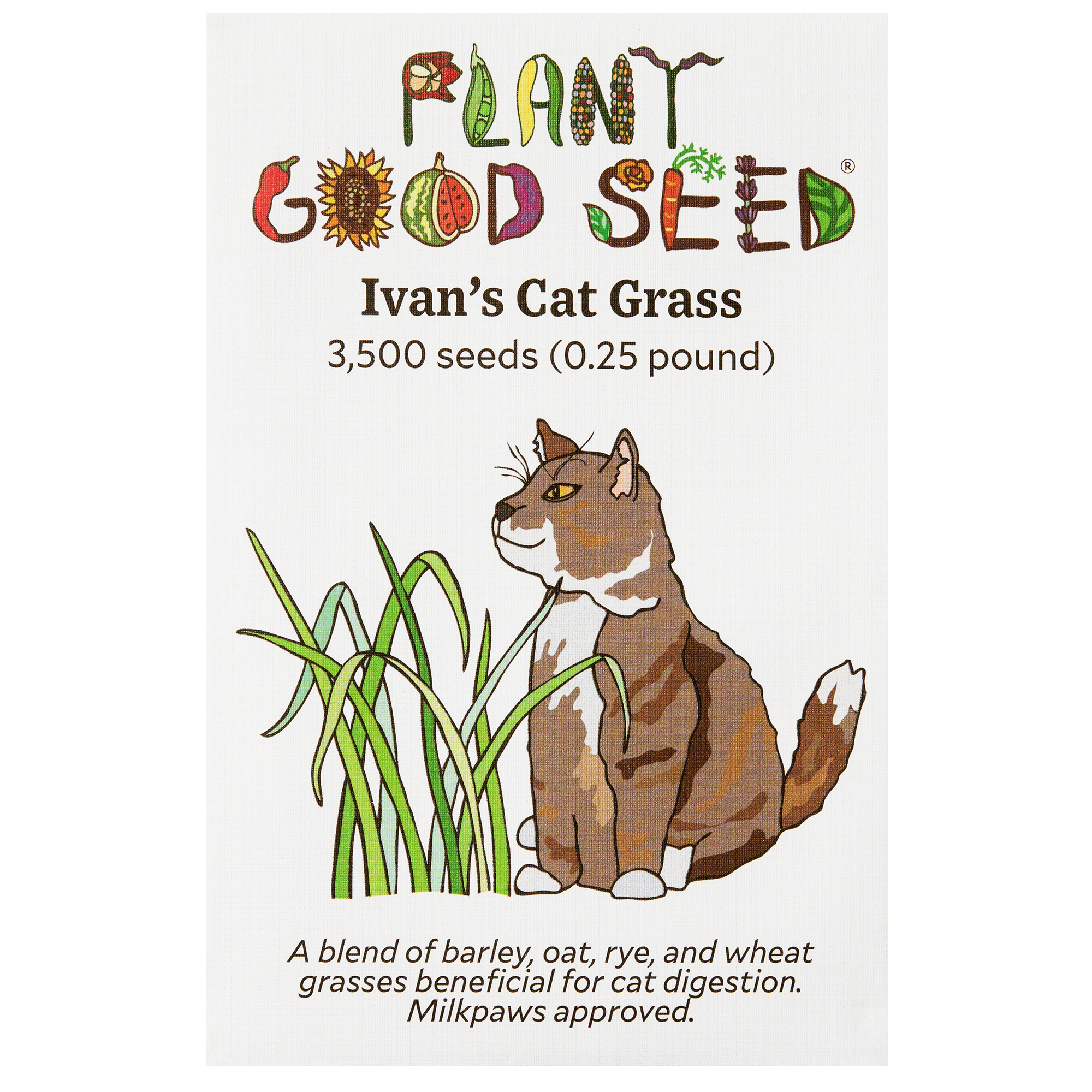 cat plant seeds Ivan's Cat Grass Seeds BULK: 3,000 Seeds (0.25 pound), OG