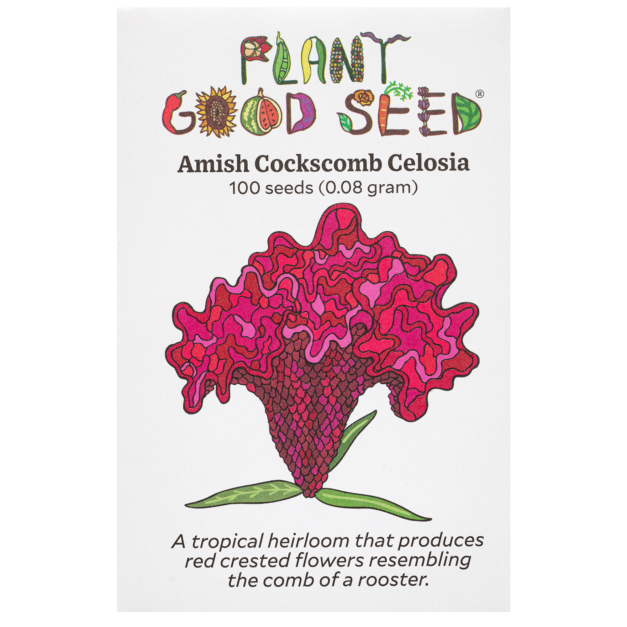 celosia seeds planting Amish Cockscomb Celosia Seeds BULK: 1 gram, OG