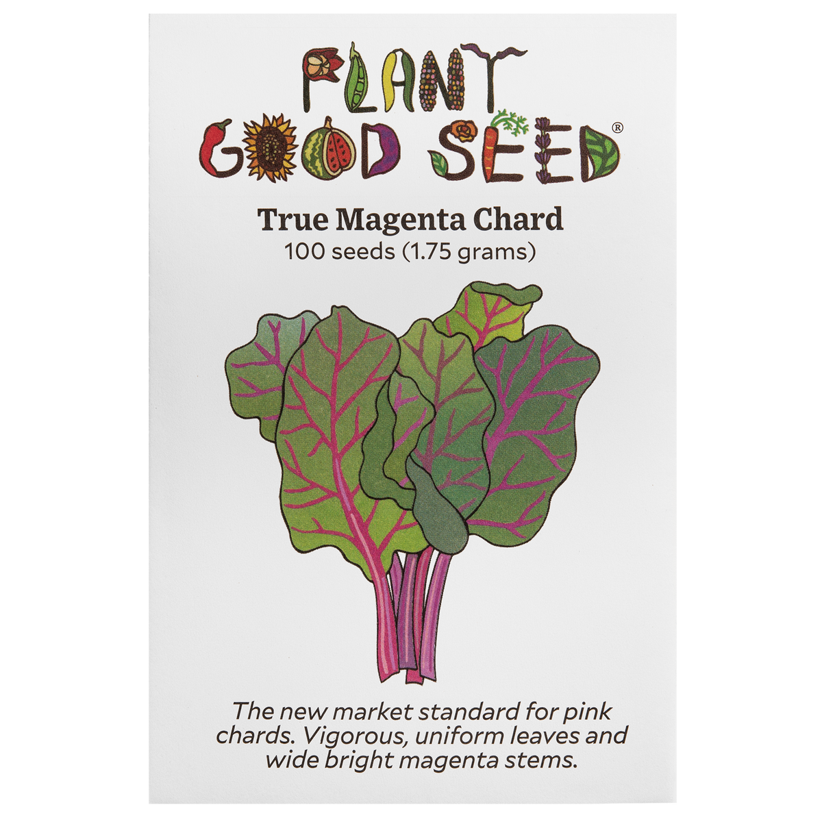Magenta Chard