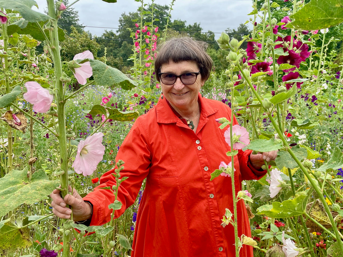 Chez Sooz Hollyhock