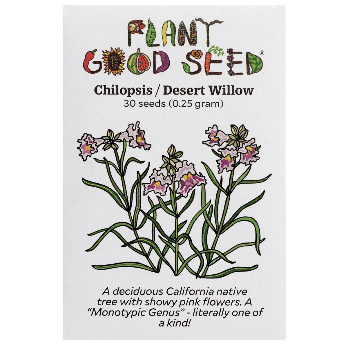 Chilopsis / Desert Willow