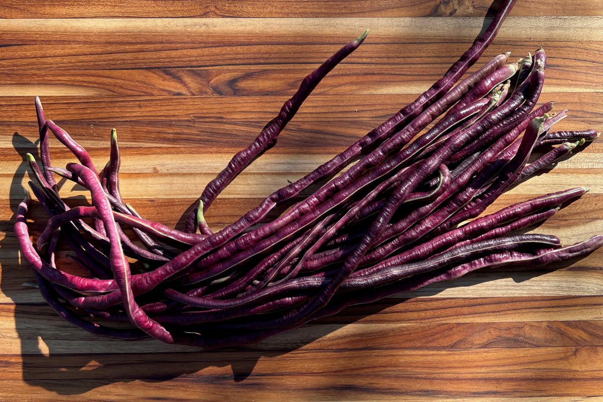 Chinese Red Noodle Yardlong Bean