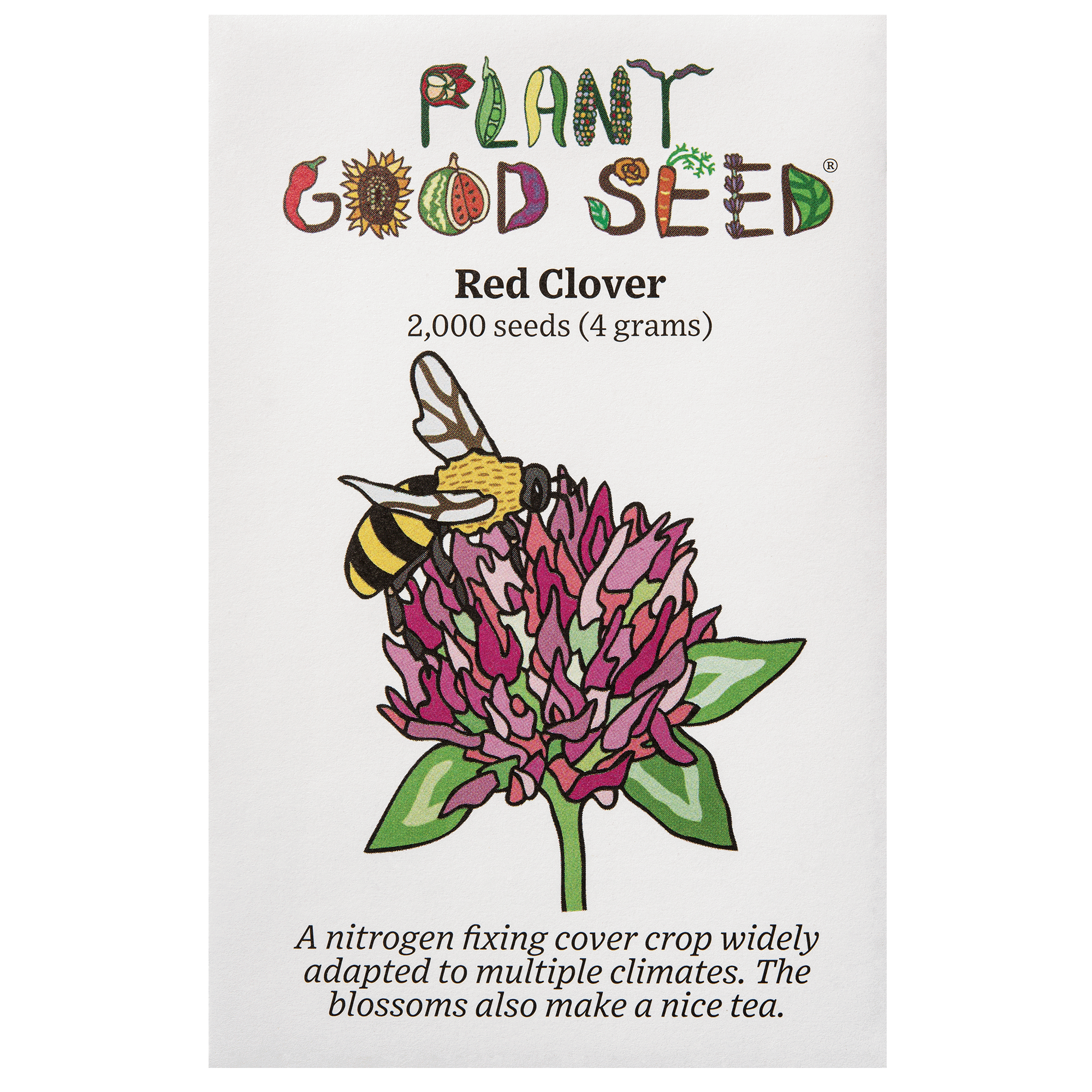 plant clover seed Red Clover Seeds BULK: 137,500 Seeds (0.5 pound), OG