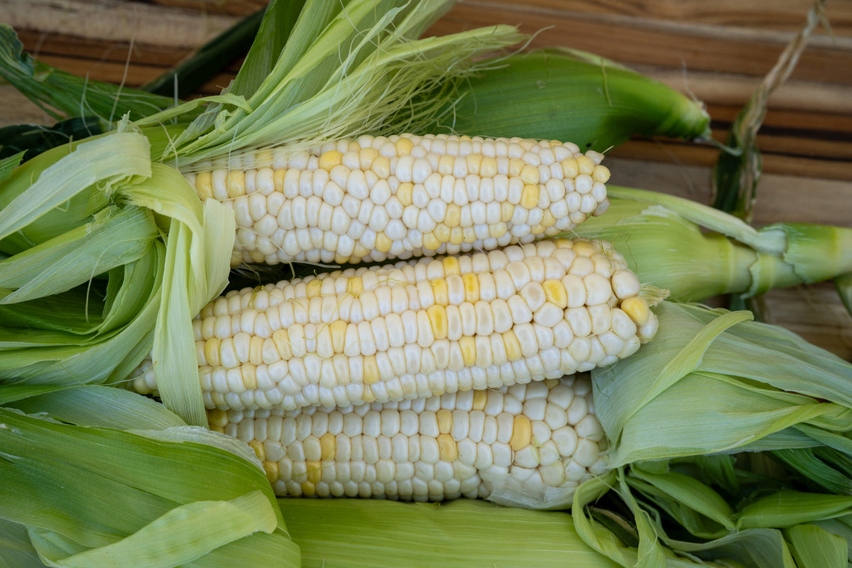 Zanadoo Corn Sweet Ears Fresh Bicolor