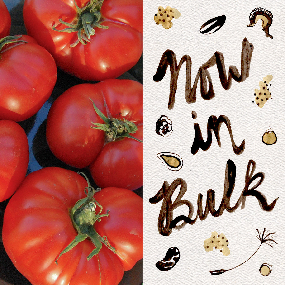 Costoluto Genovese Tomato