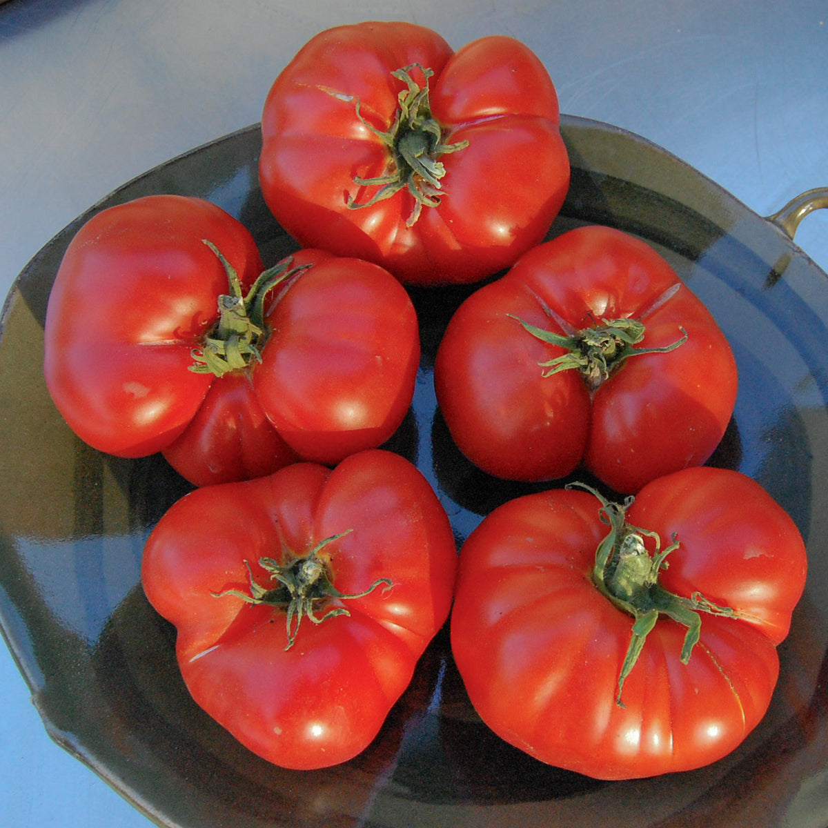 Costoluto Genovese Tomato