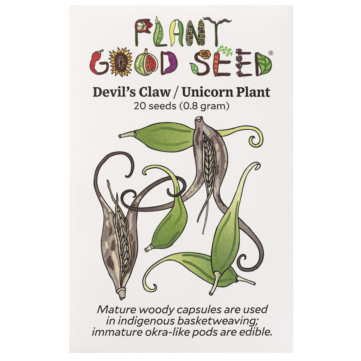 Devil&#39;s Claw Seed Packet