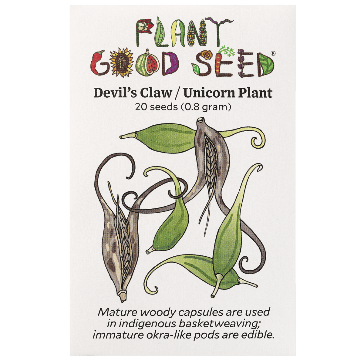 Devil’s Claw / Unicorn Plant Seeds - The Plant Good Seed Company