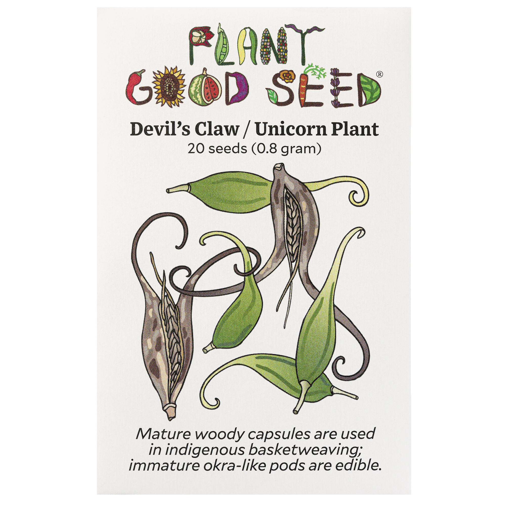devil's palm plant Devil's Claw / Unicorn Plant Seeds