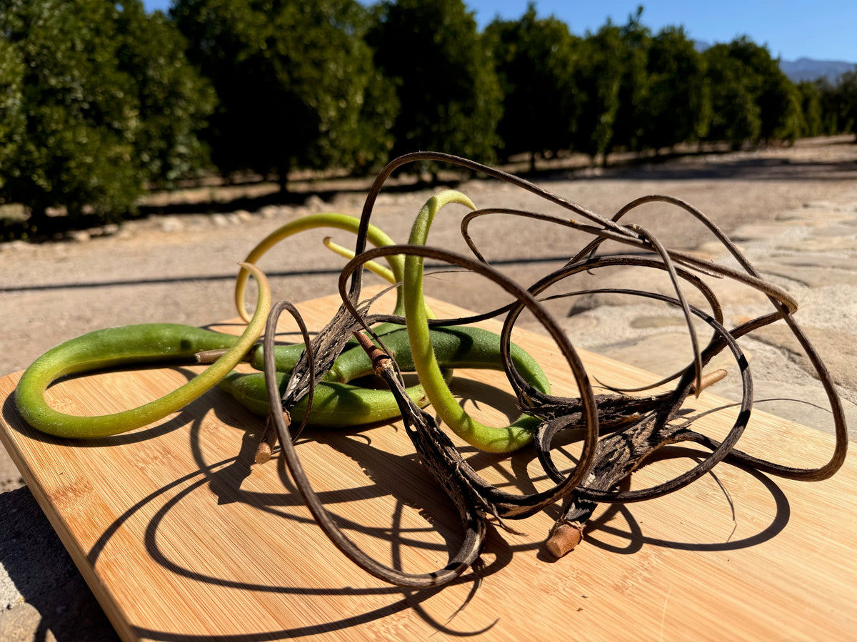 Red Devil's Claw / Doubleclaw