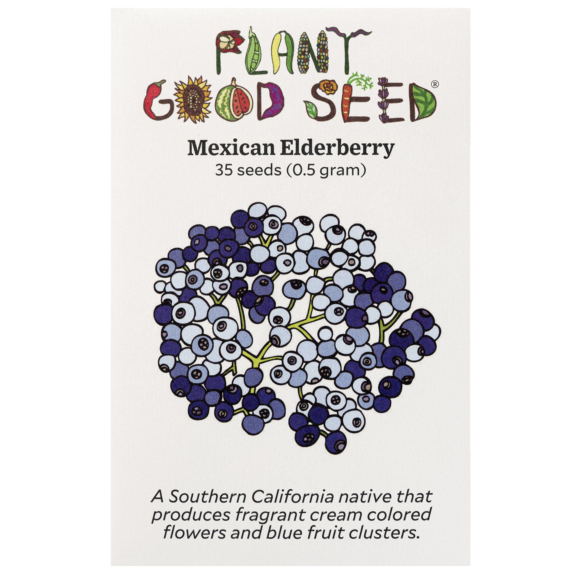 elderberry seeds to plant Plant Good Seed Company Elderberry
