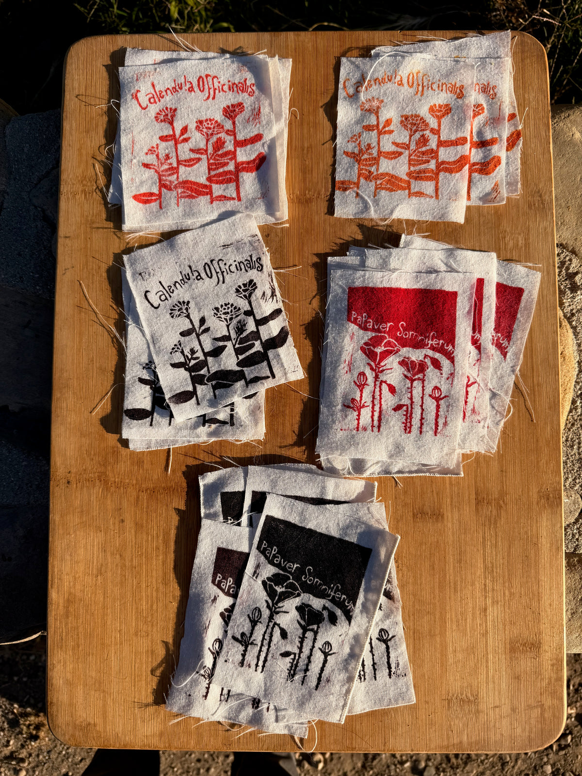 Block Print Plant Patches!