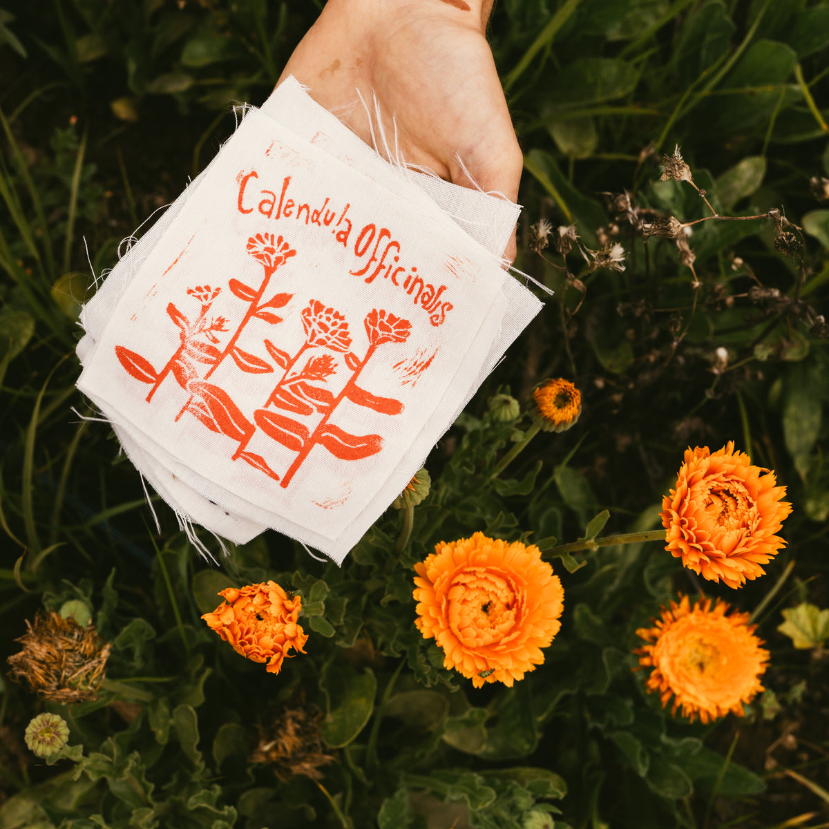 Block Print Plant Patches!
