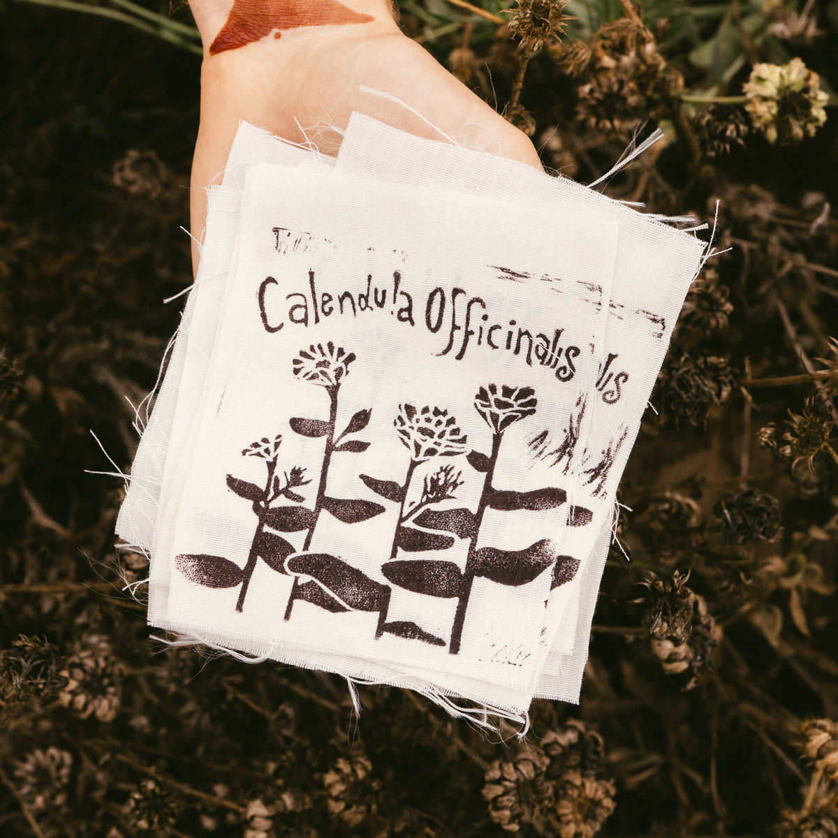 Block Print Plant Patches!