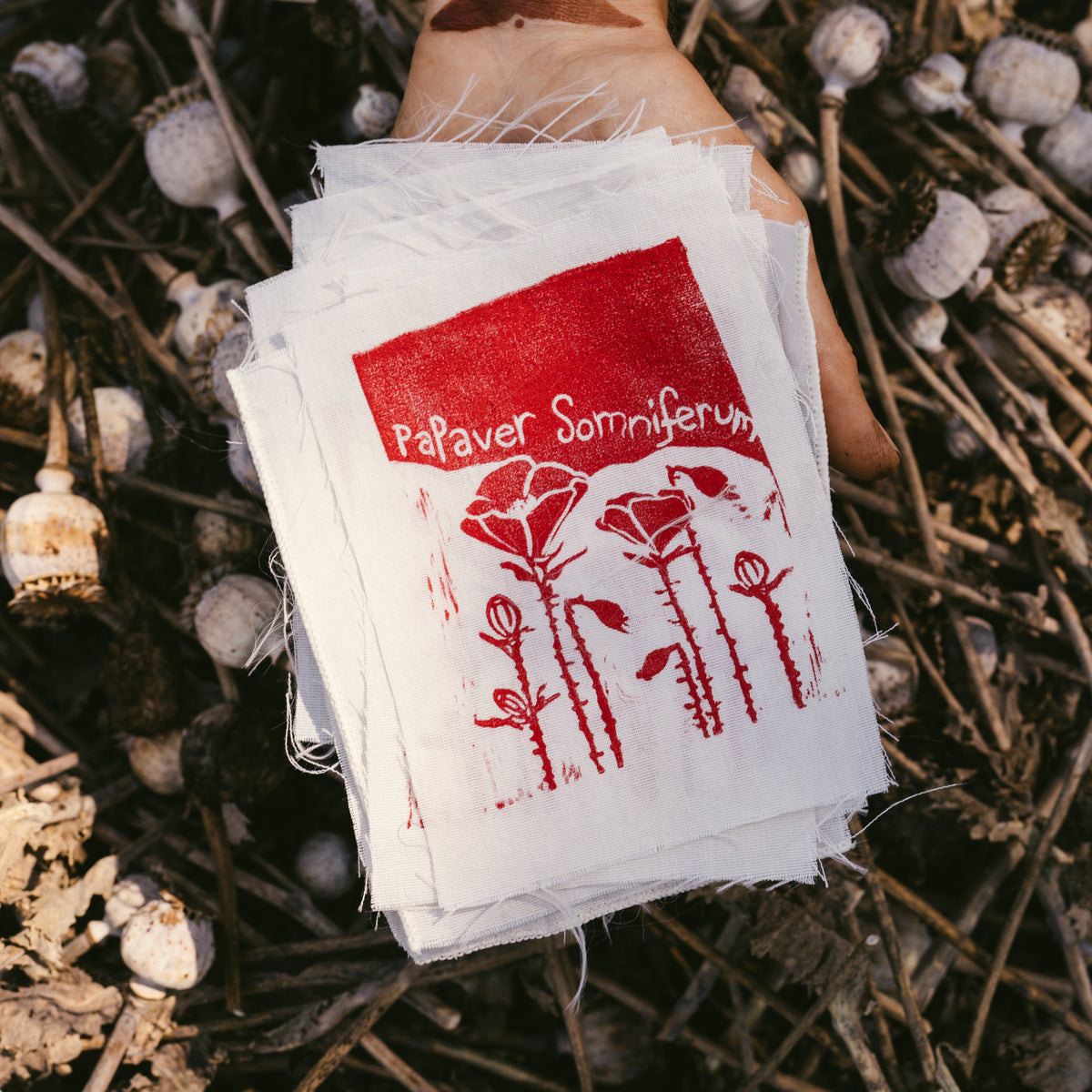 Block Print Plant Patches!