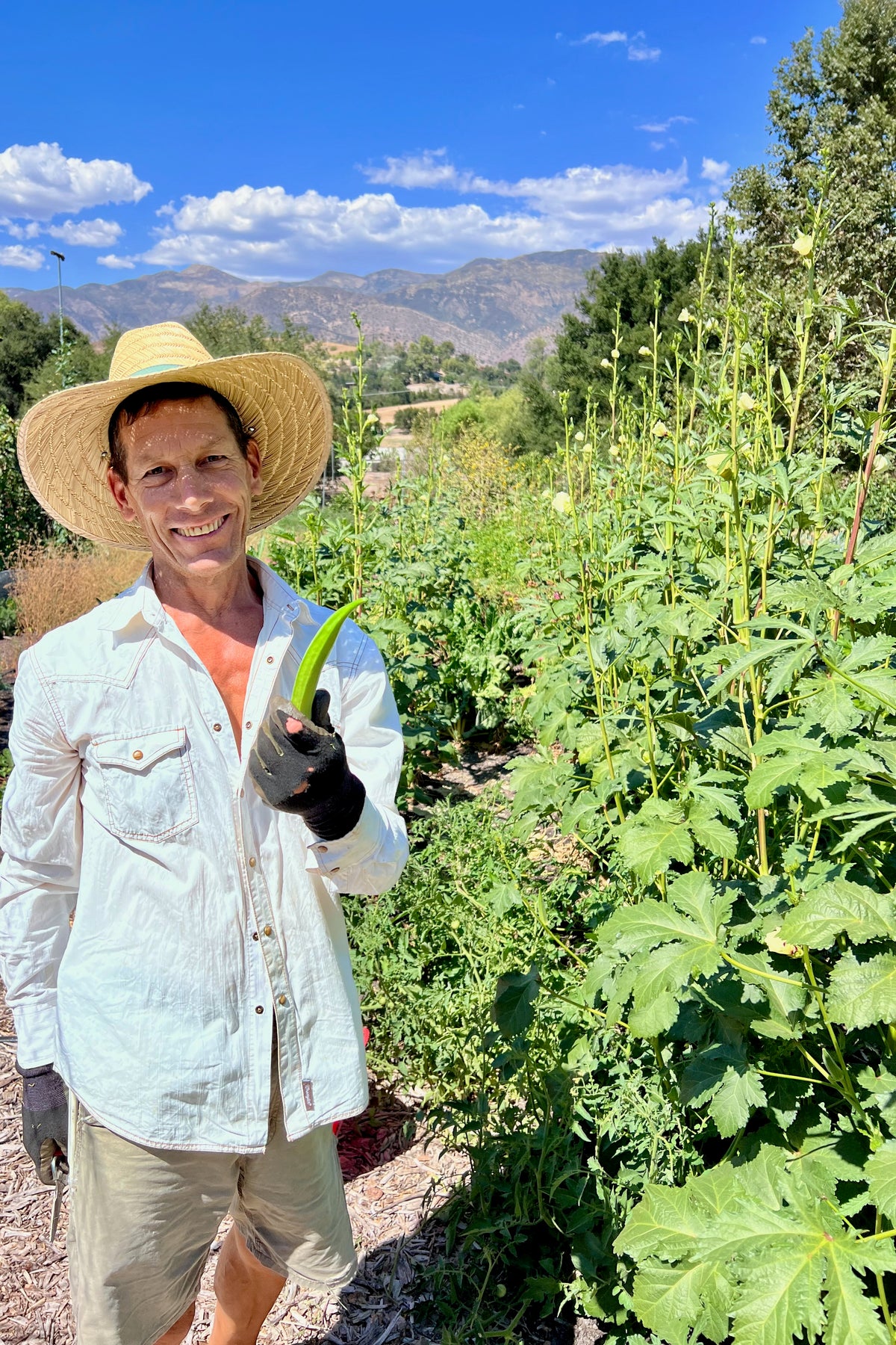 Richard Gambino Evertender Okra Ojai California Topa Vista Farmstand