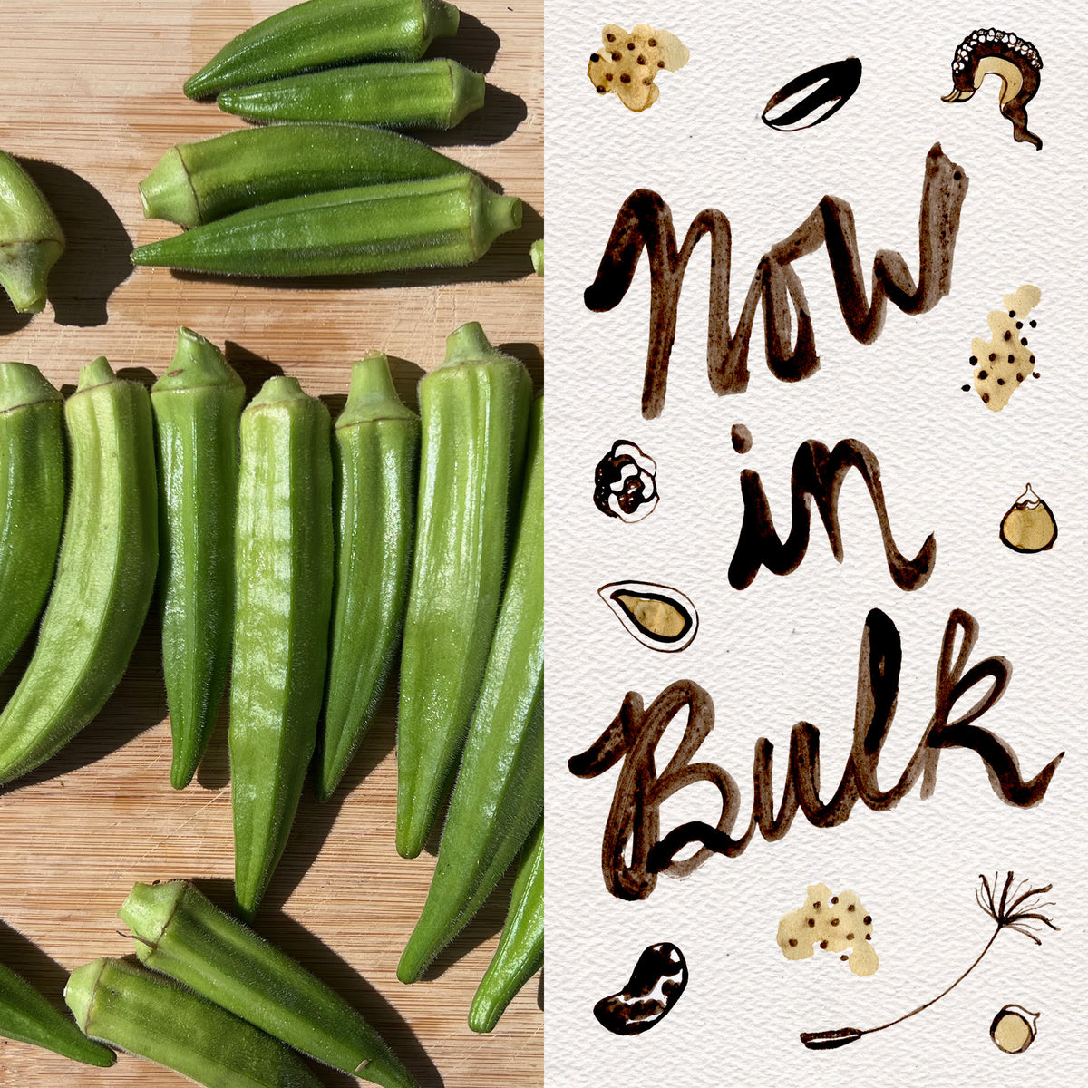 Evertender Okra