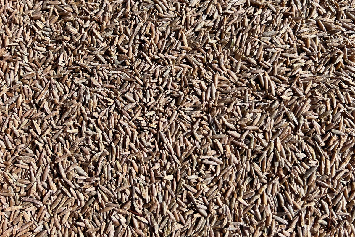 Sweetheart&#39;s Finnish Rye