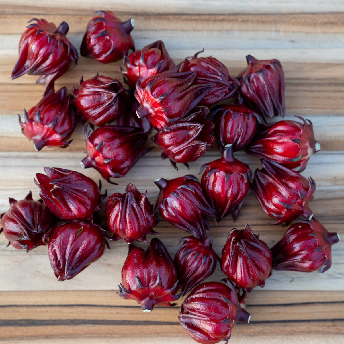 Dried Hibiscus Flower - Light