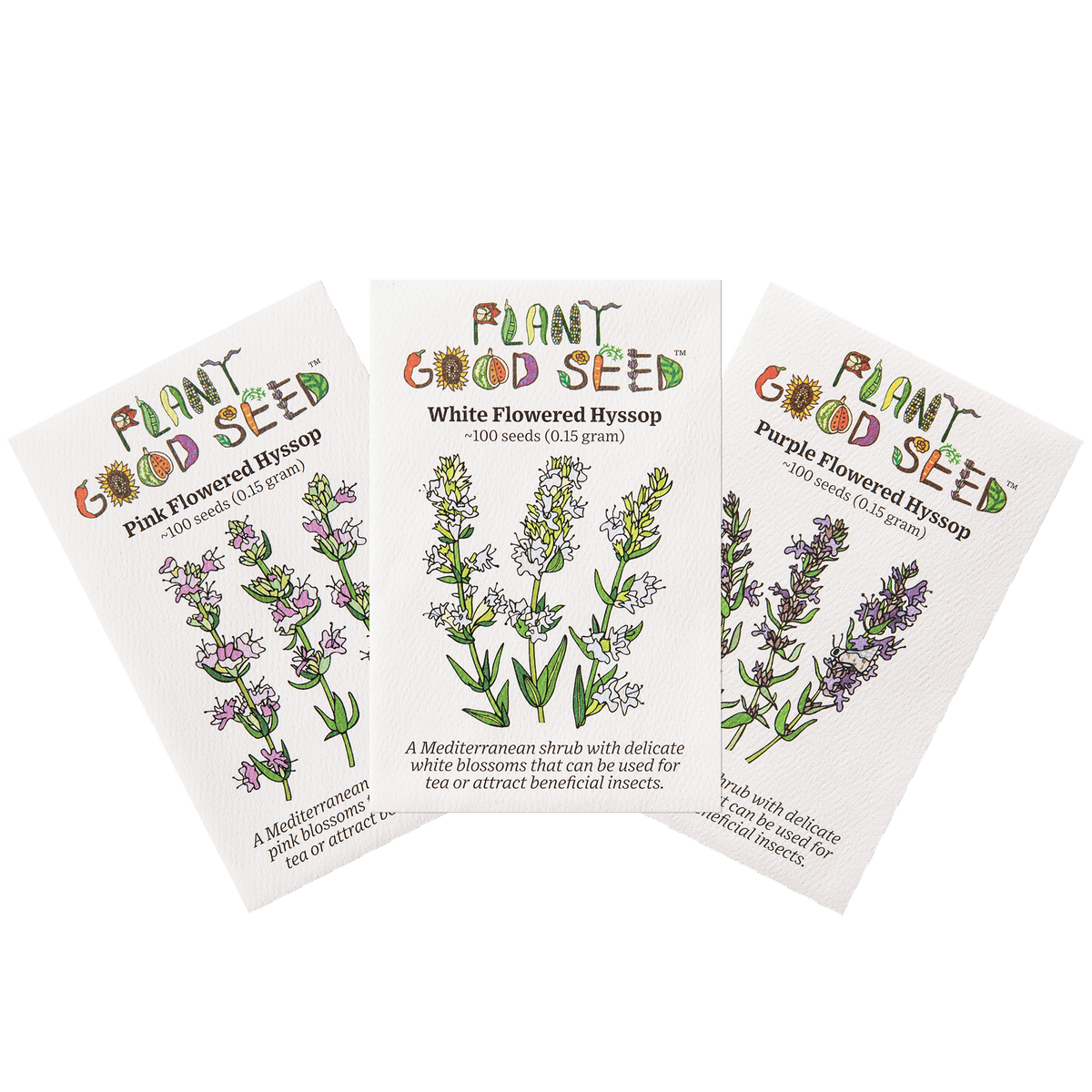 Hyssop Seed Collection - Three Packets