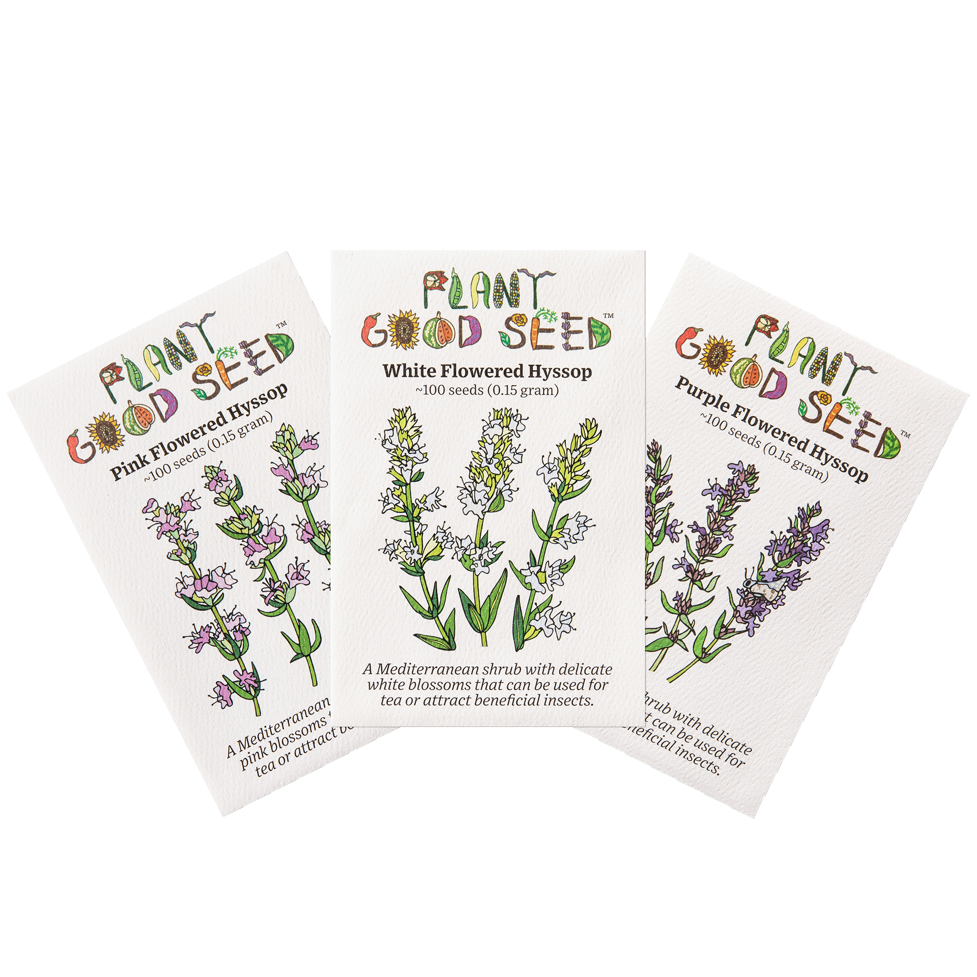 hyssop plant seeds Plant Good Seed Hyssop Seed Collection: 3 Packets, 100 Seeds each, Perennial Full Part Sun, Organic