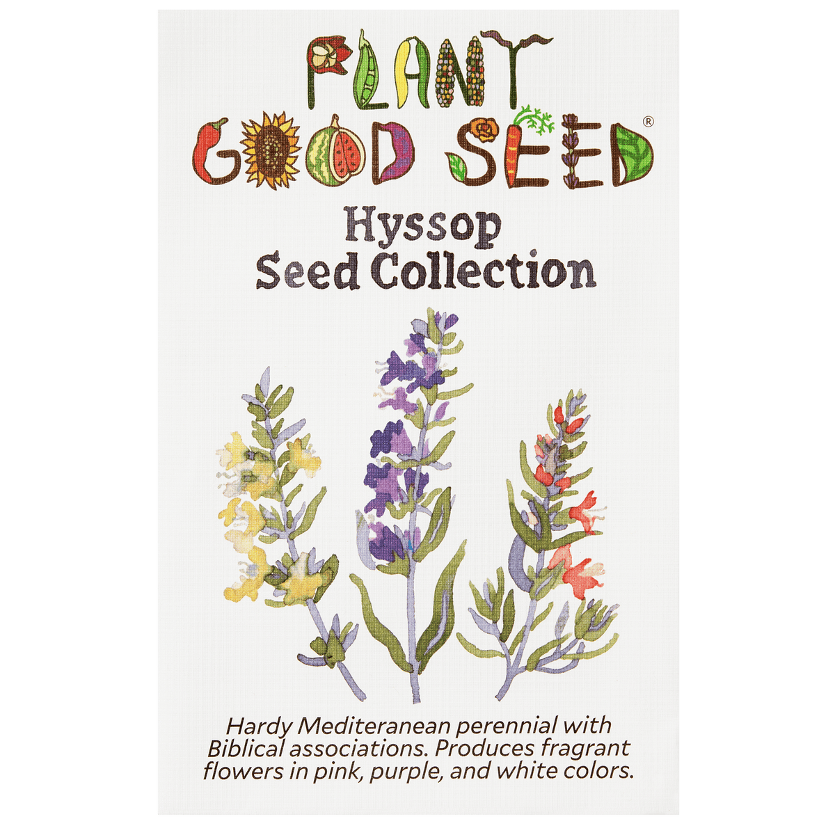 Hyssop Seed Collection - Three Packets