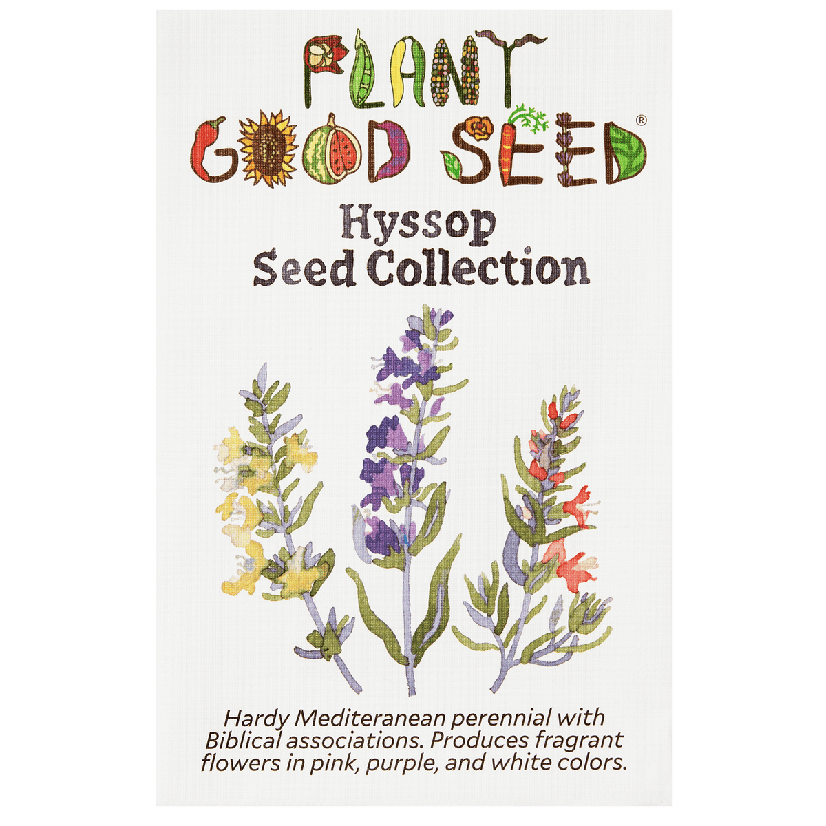Hyssop Seed Collection
