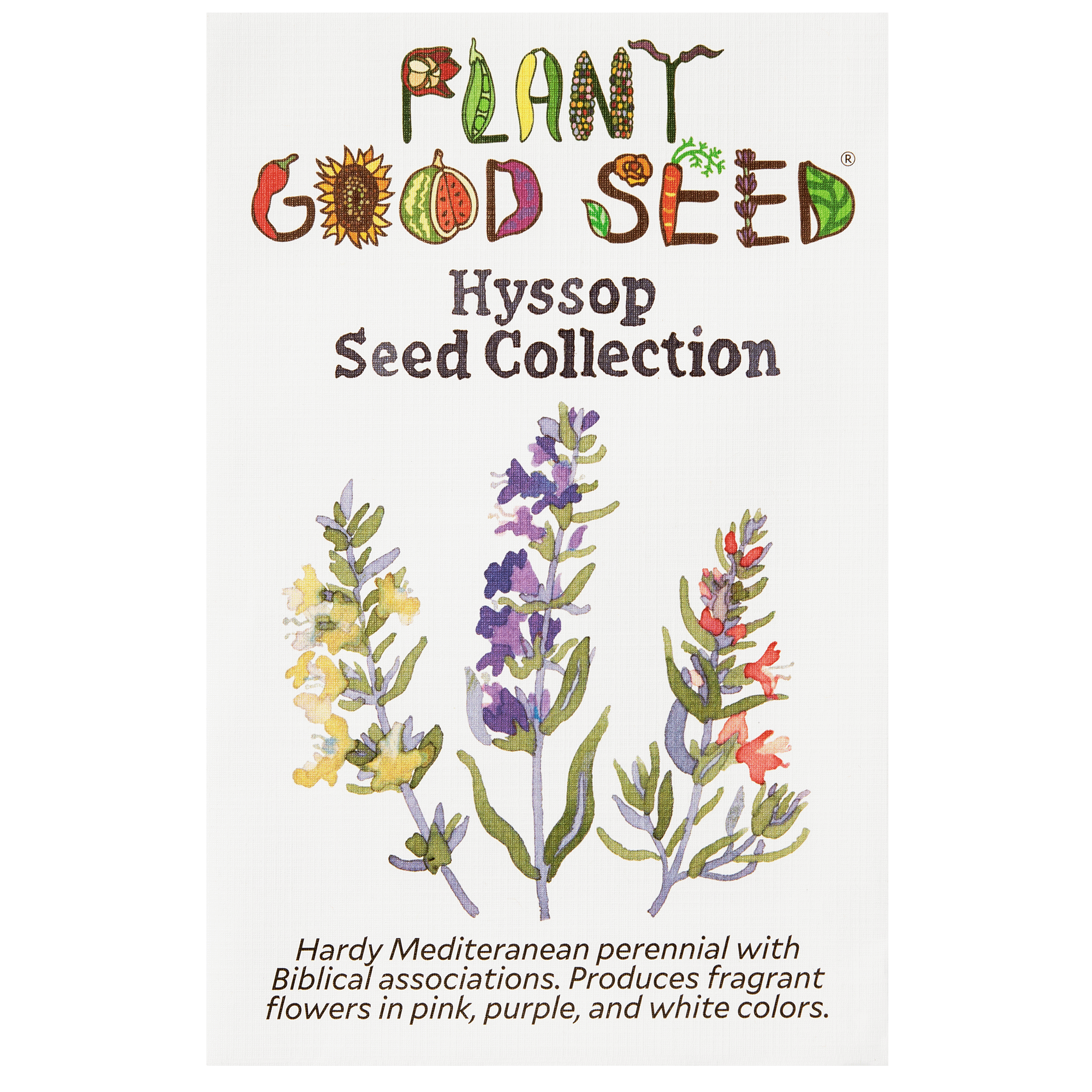 Hyssop Seed Collection
