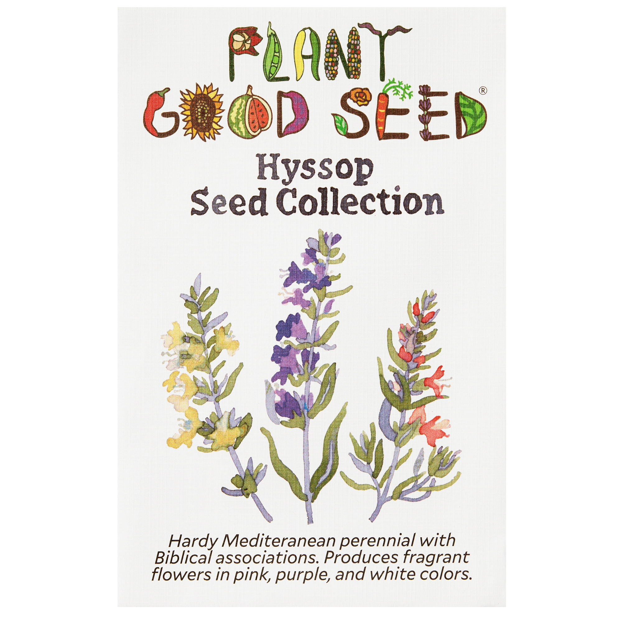 hyssop plant seeds Plant Good Seed Hyssop Seed Collection: 3 Packets, 100 Seeds each, Perennial Full Part Sun, Organic