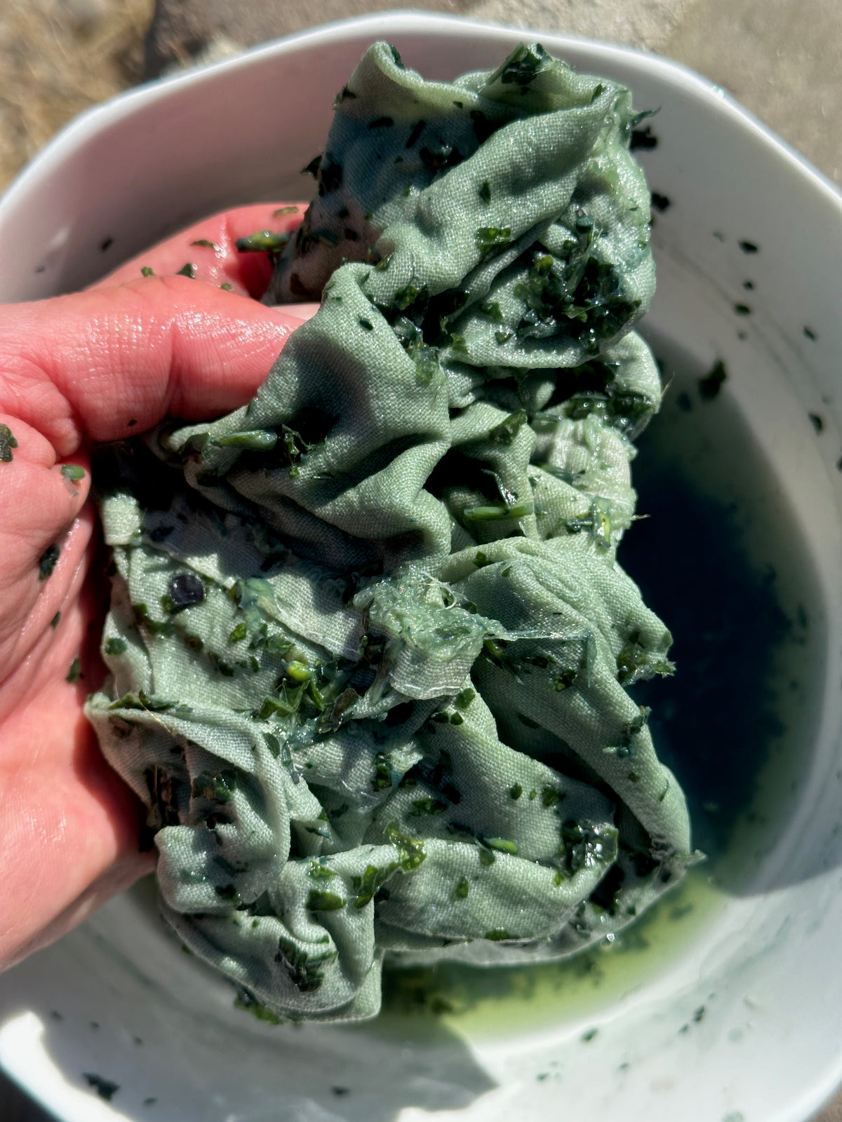 Japanese Indigo