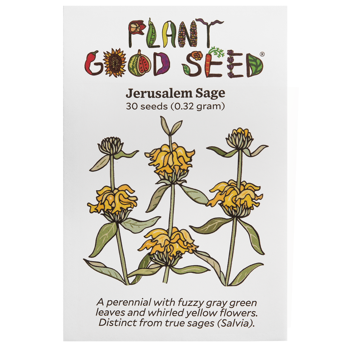 Jerusalem Sage