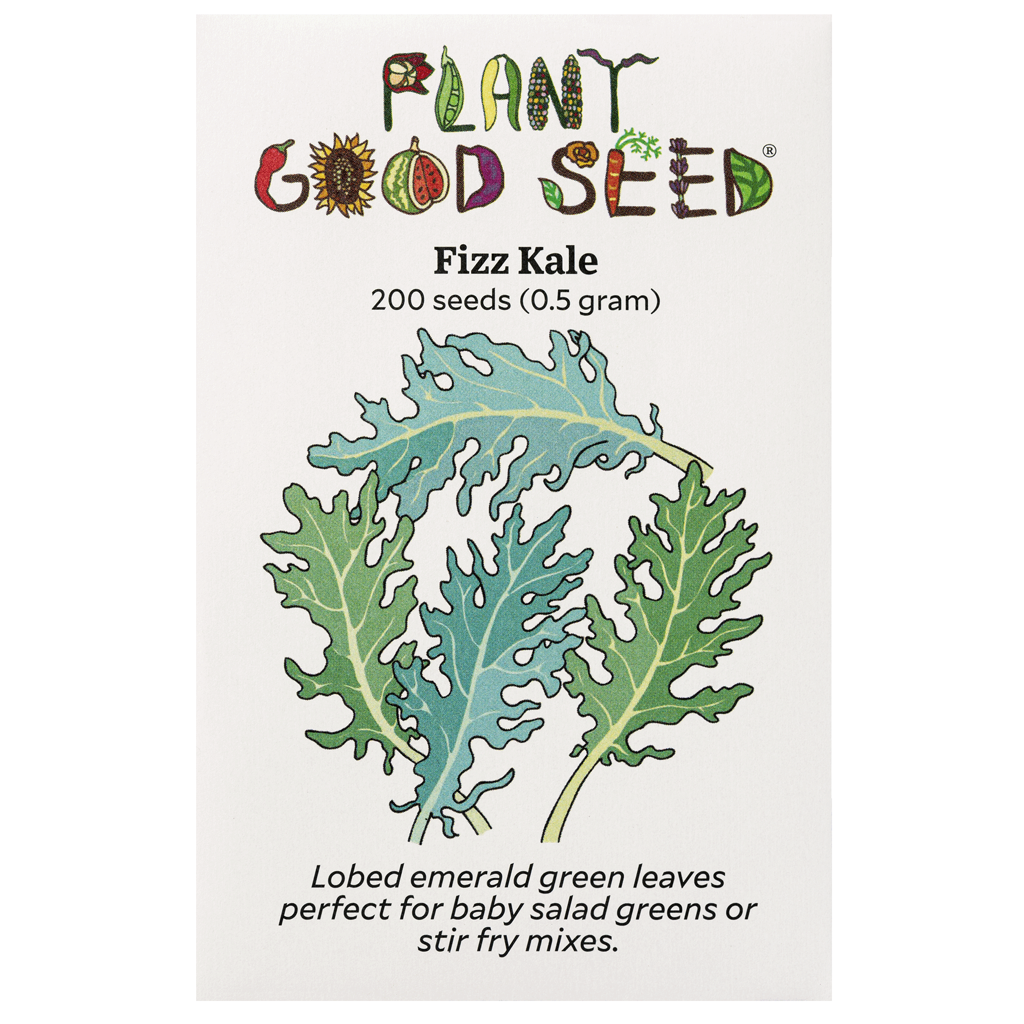 plant kale seeds Plant Good Seed Organic Seeds Fizz Kale