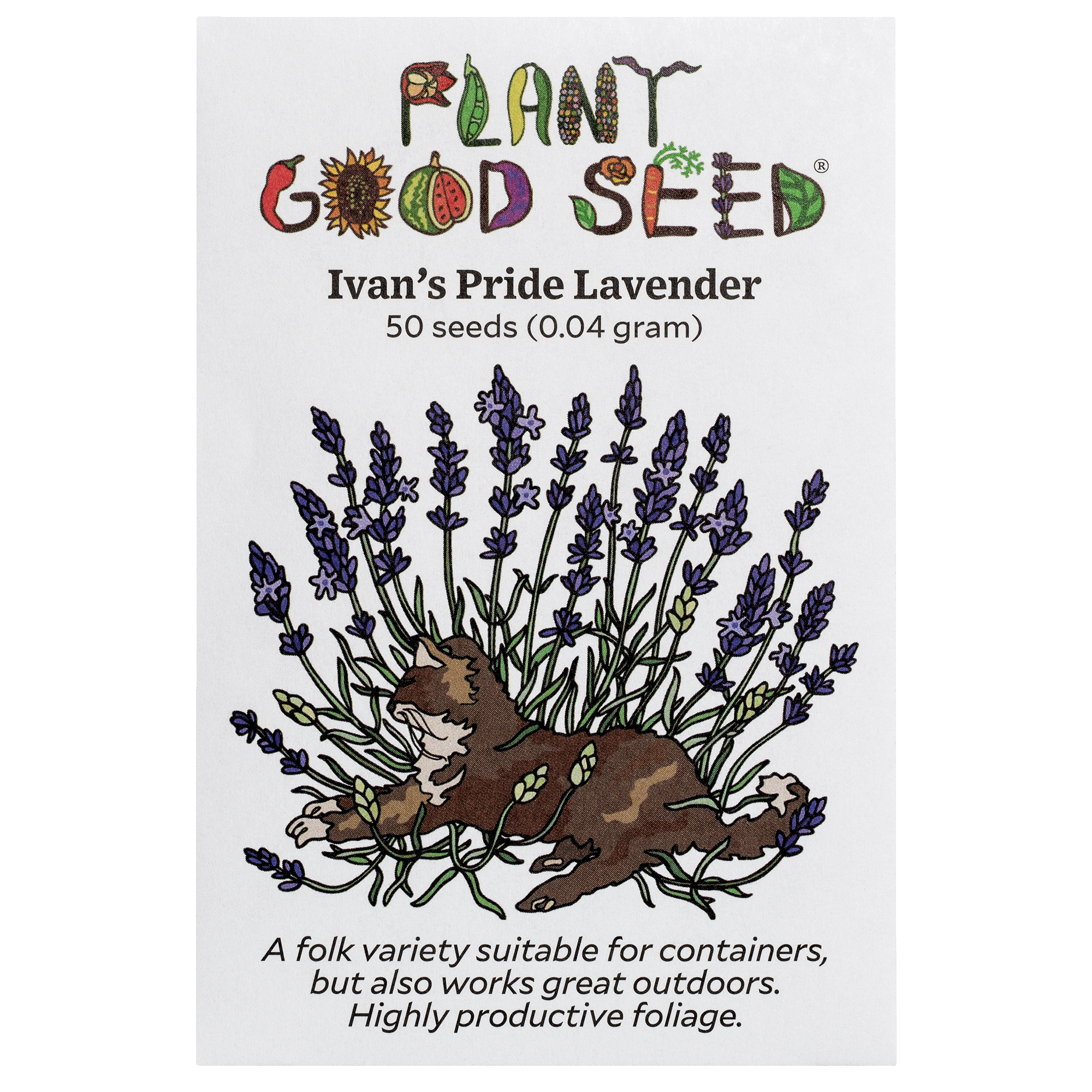 lavendar seeds Ivan's Pride Lavender Seeds