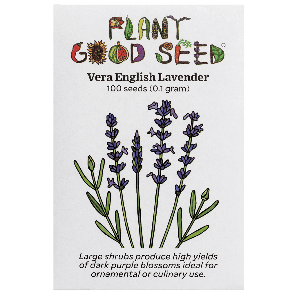 Vera English Lavender Seeds