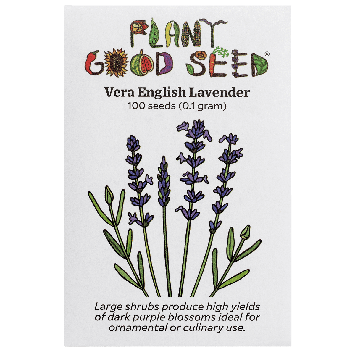 Vera English Lavender