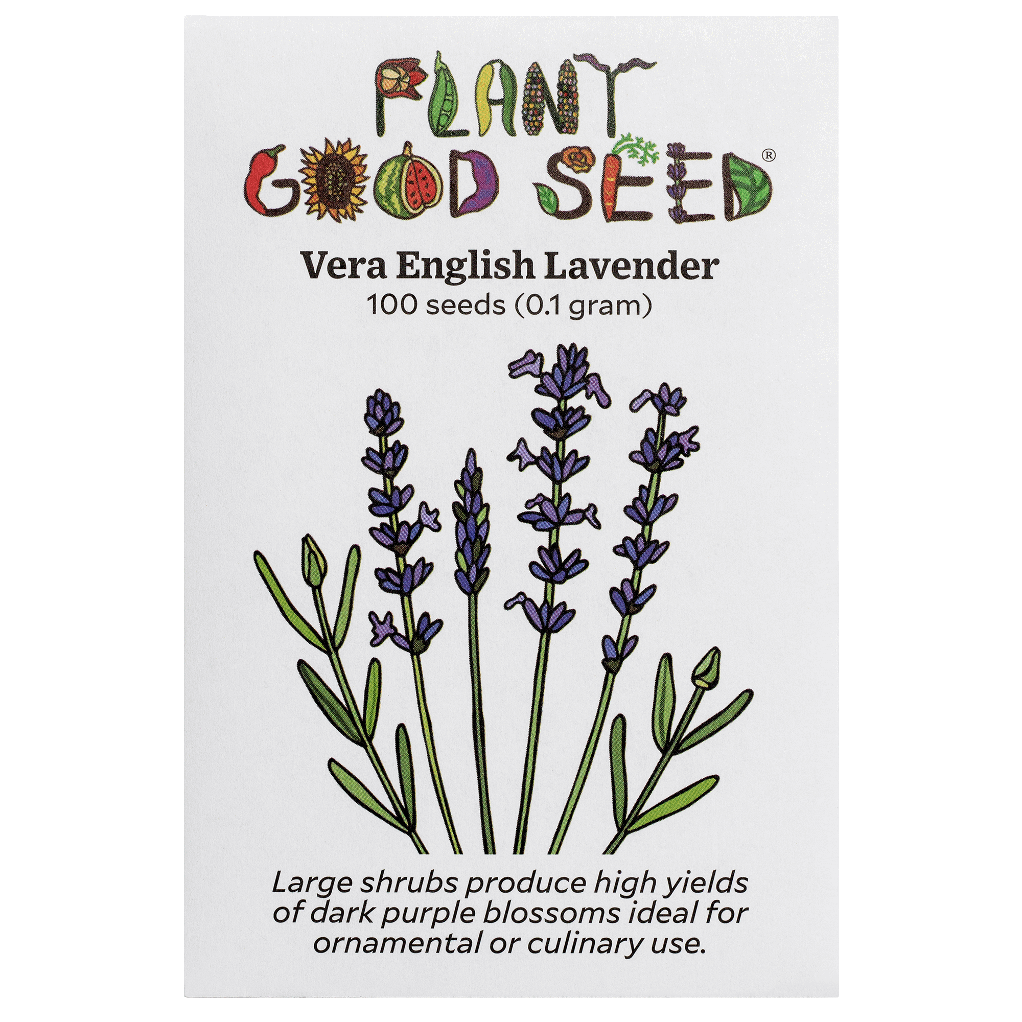 planting lavender seeds in spring Vera English Lavender