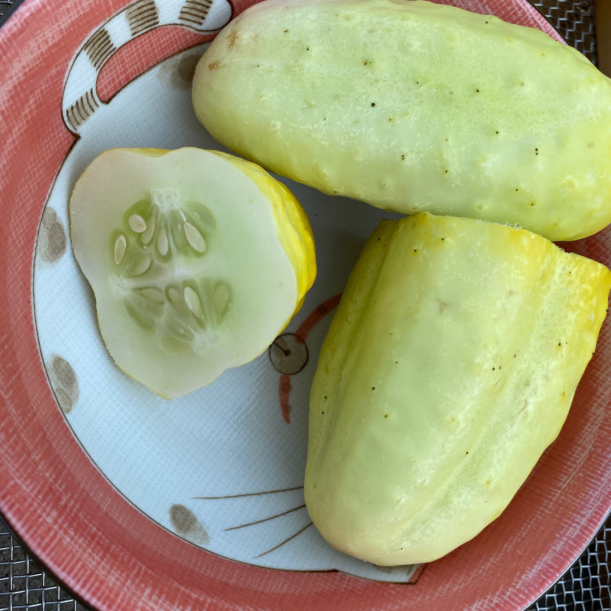 Lemon Cucumber