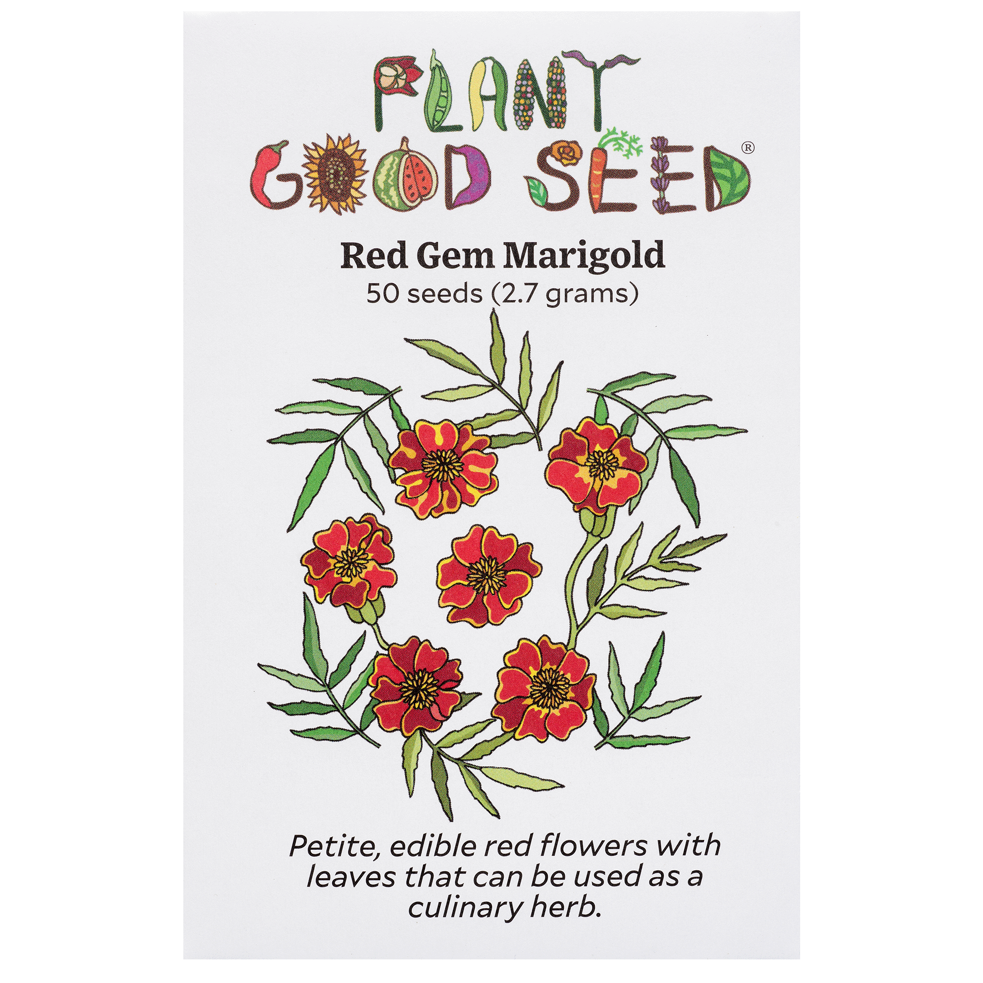 Red Gem Marigold Seeds - The Plant Good Seed Company