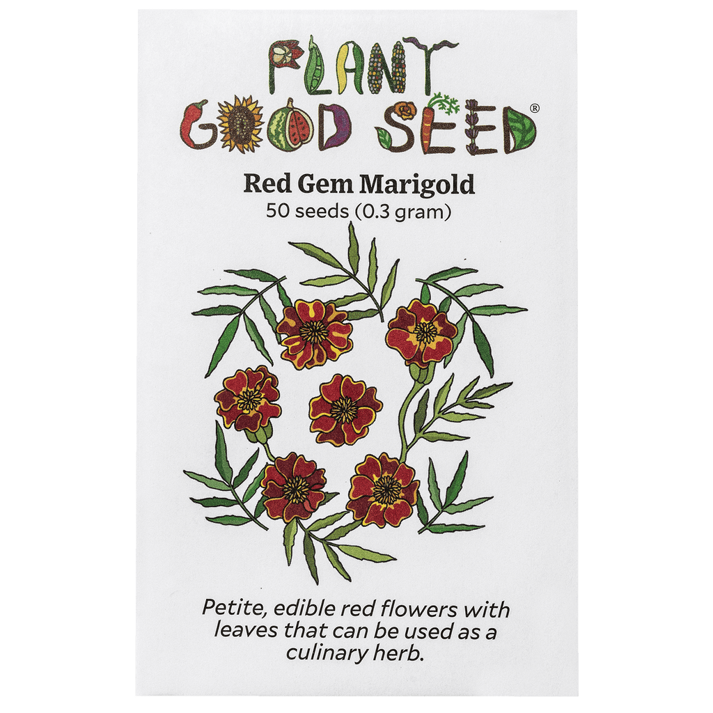 marigold seeds for sale Red Gem Marigold Seeds