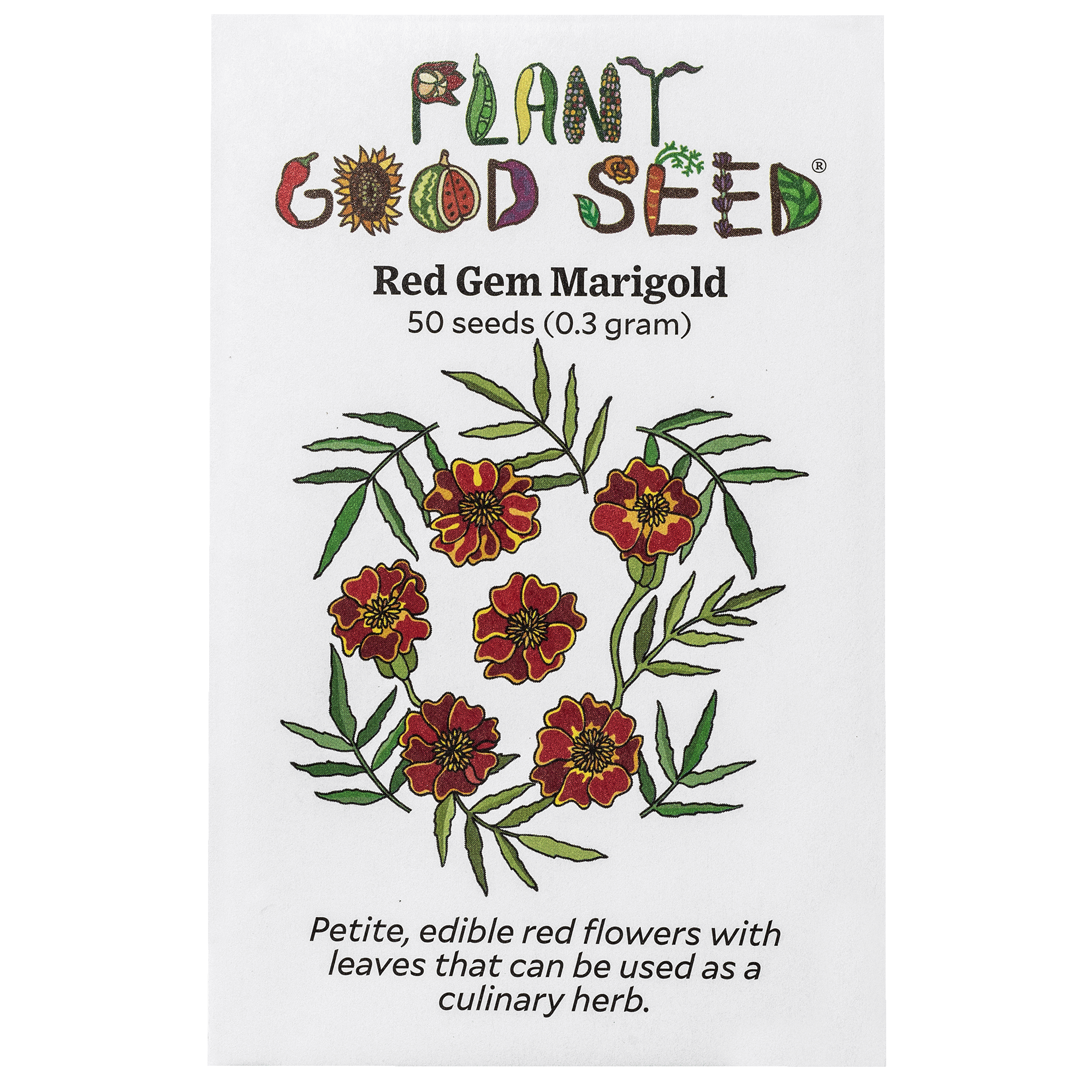marigold plant seeds Red Gem Marigold Seeds