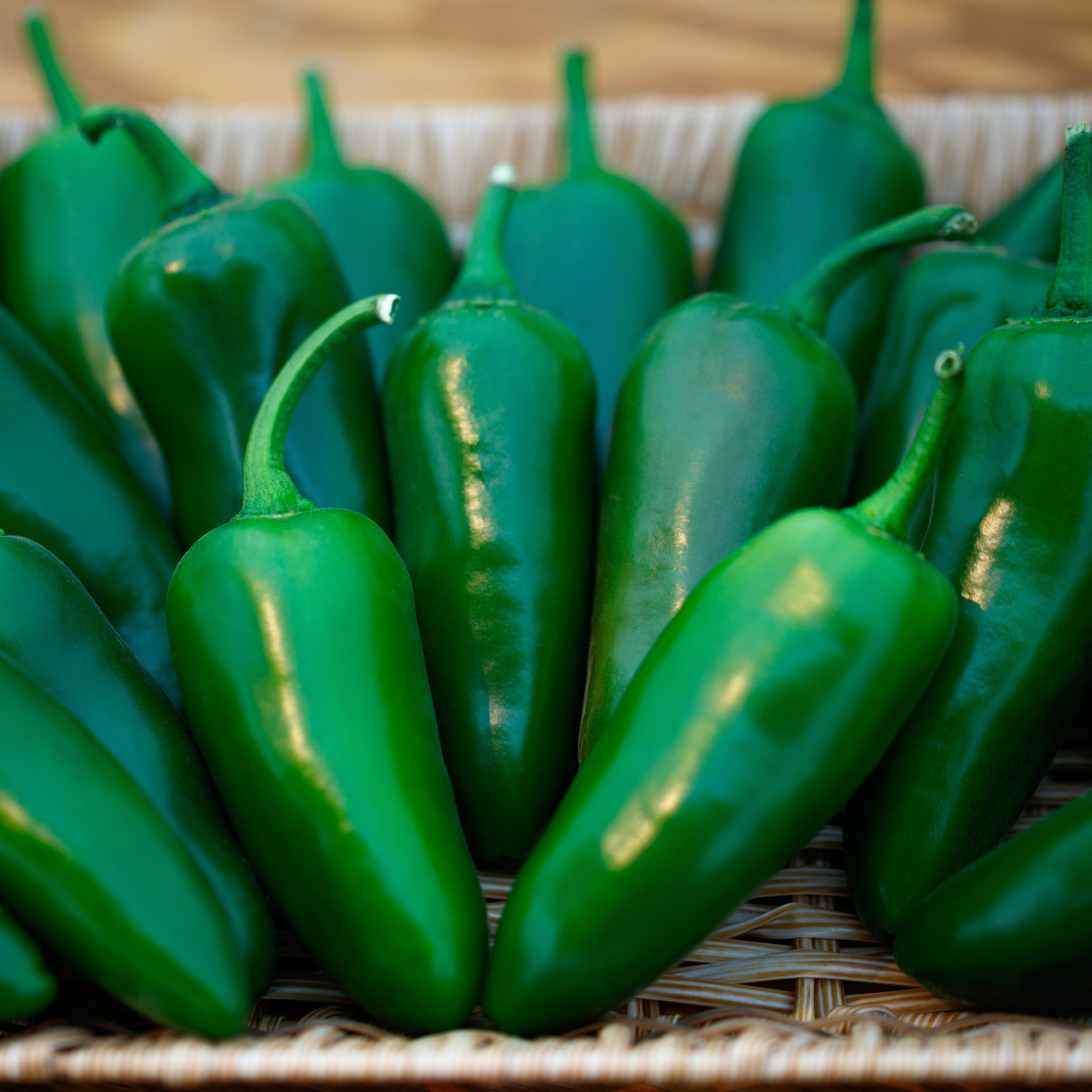 Megatron F1 Jalapeño Pepper - The Plant Good Seed Company